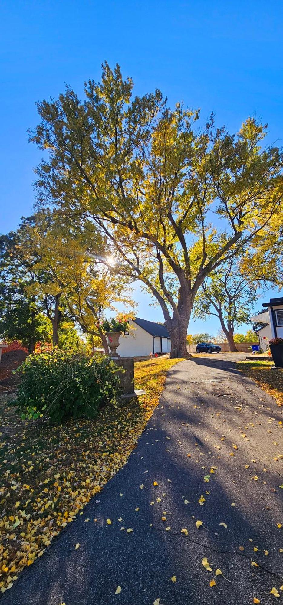 1908 Modern Farmhouse On Large Private Treed Lot Shawnee Exterior photo